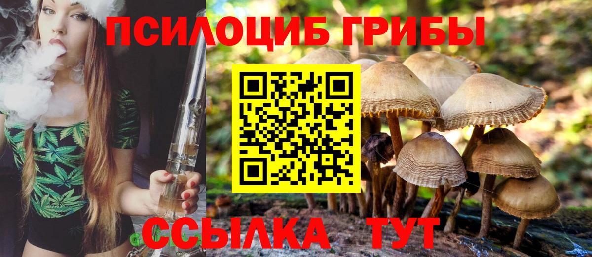 Галлюциногенные грибы GOLDEN TEACHER Ухта